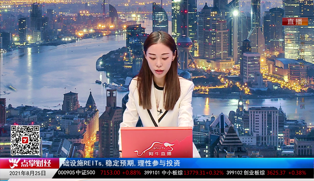 机构策略师2021-08-25