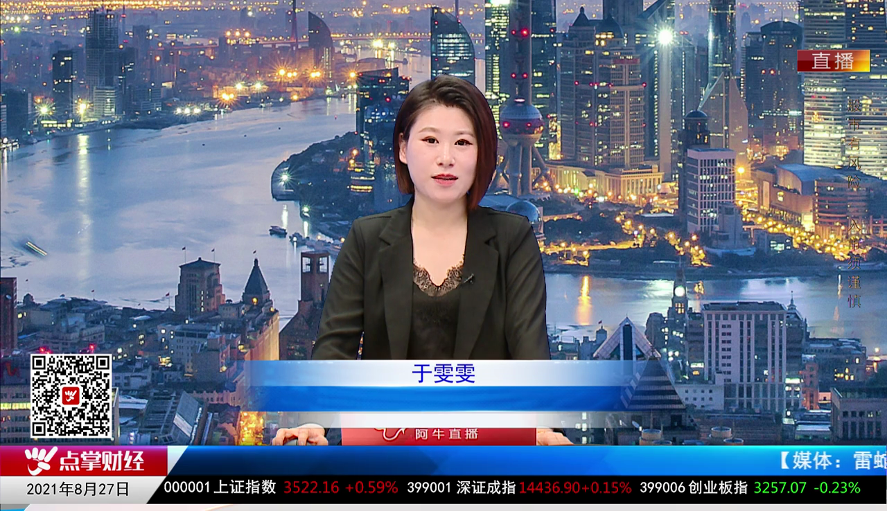 机构策略师2021-08-27