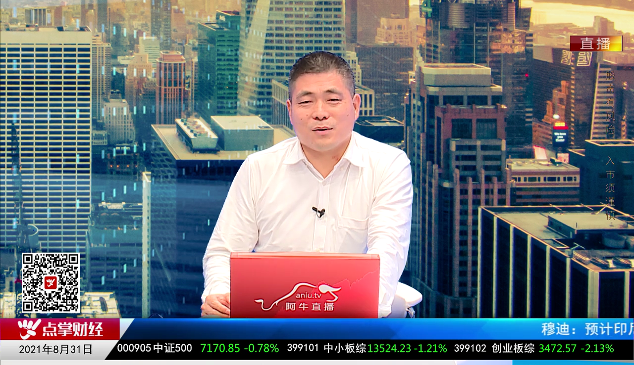 白领理财2021-08-31