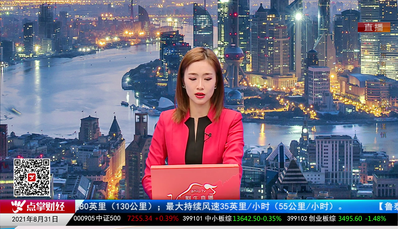 机构策略师2021-08-31