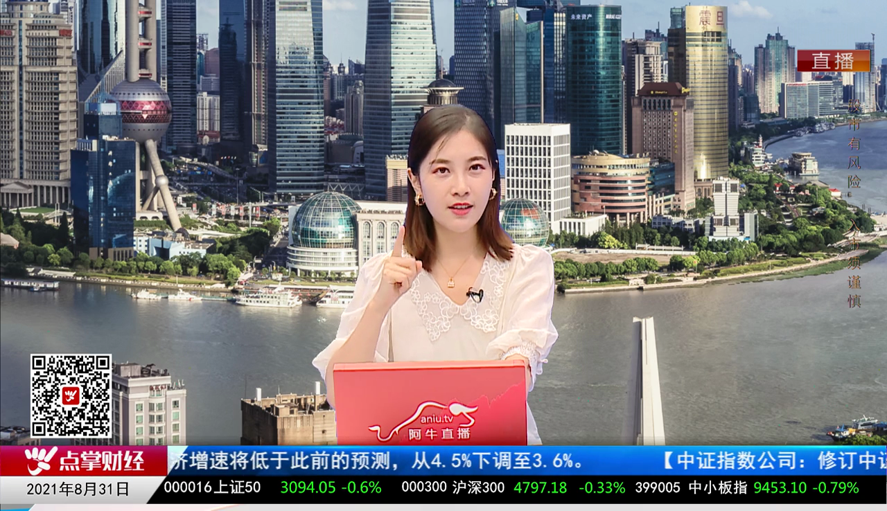解码公司2021-08-31
