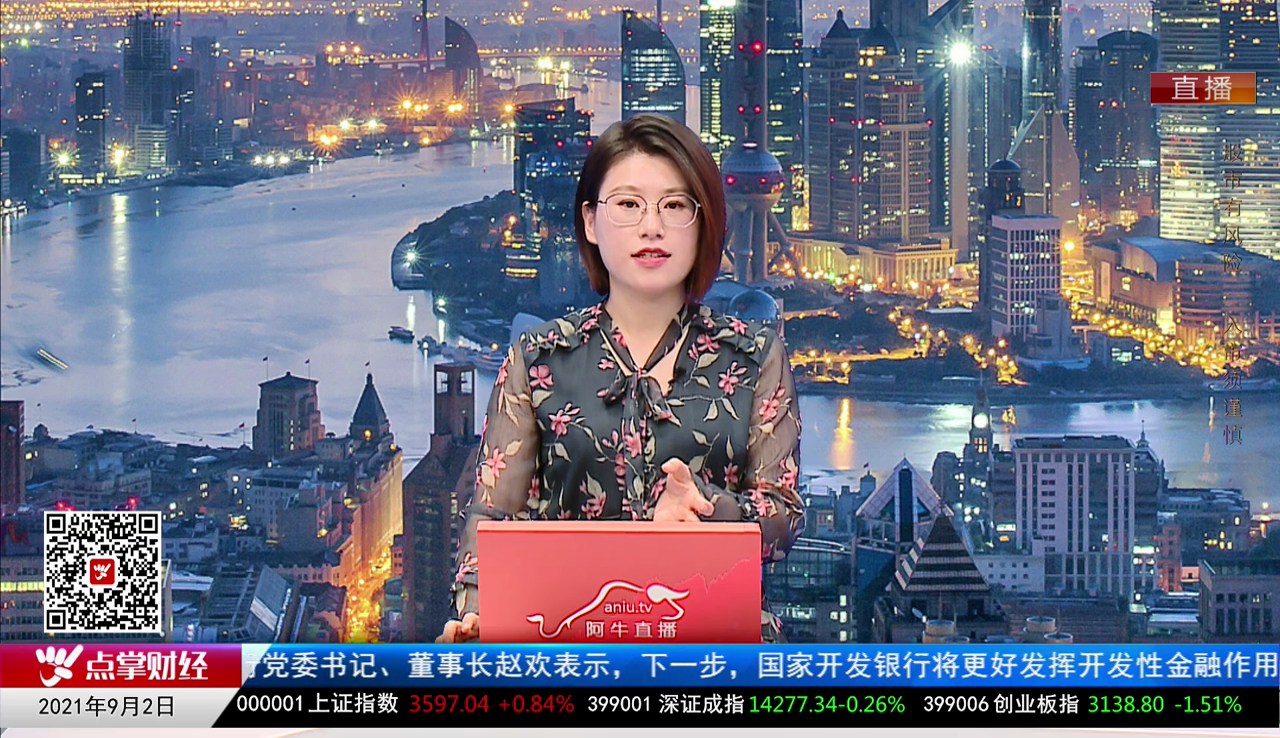 机构策略师2021-09-02