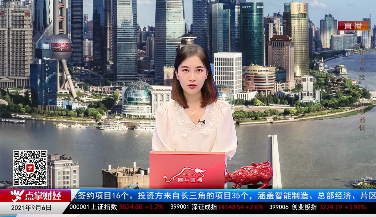 解码公司2021-09-06