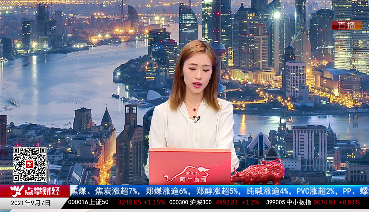 机构策略师2021-09-07