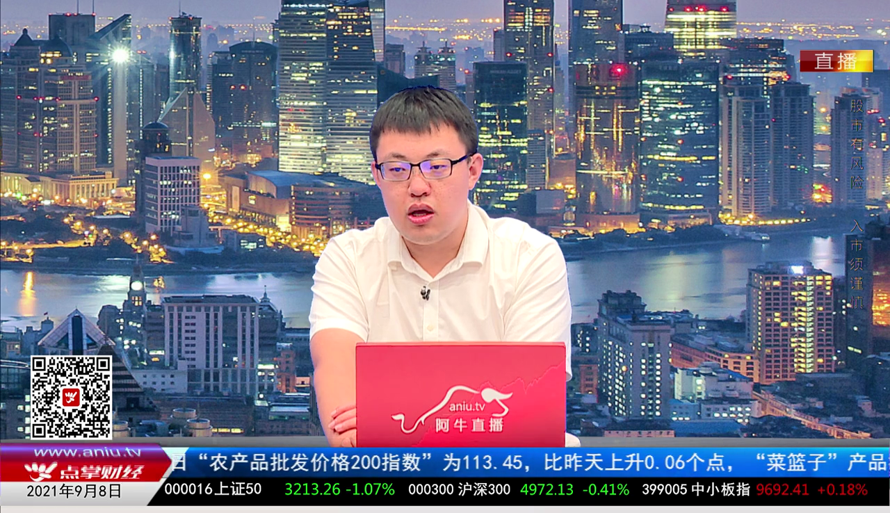 机构策略师2021-09-08