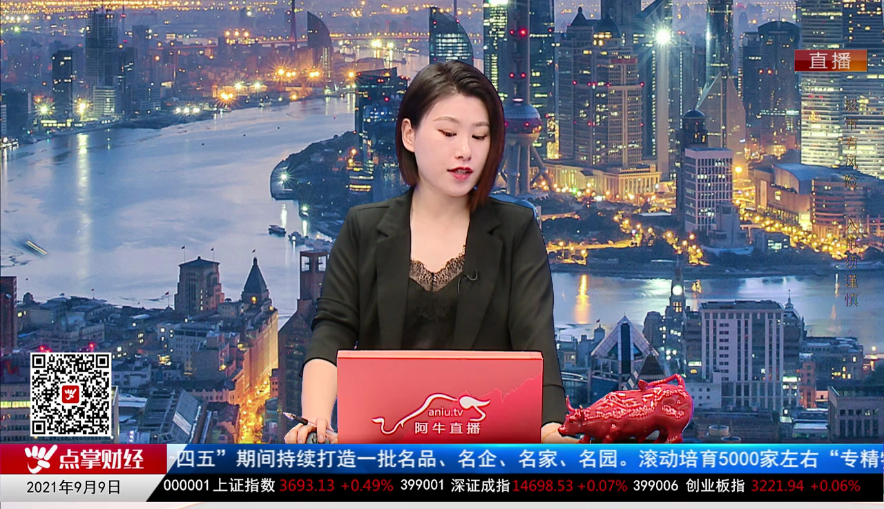 机构策略师2021-09-09