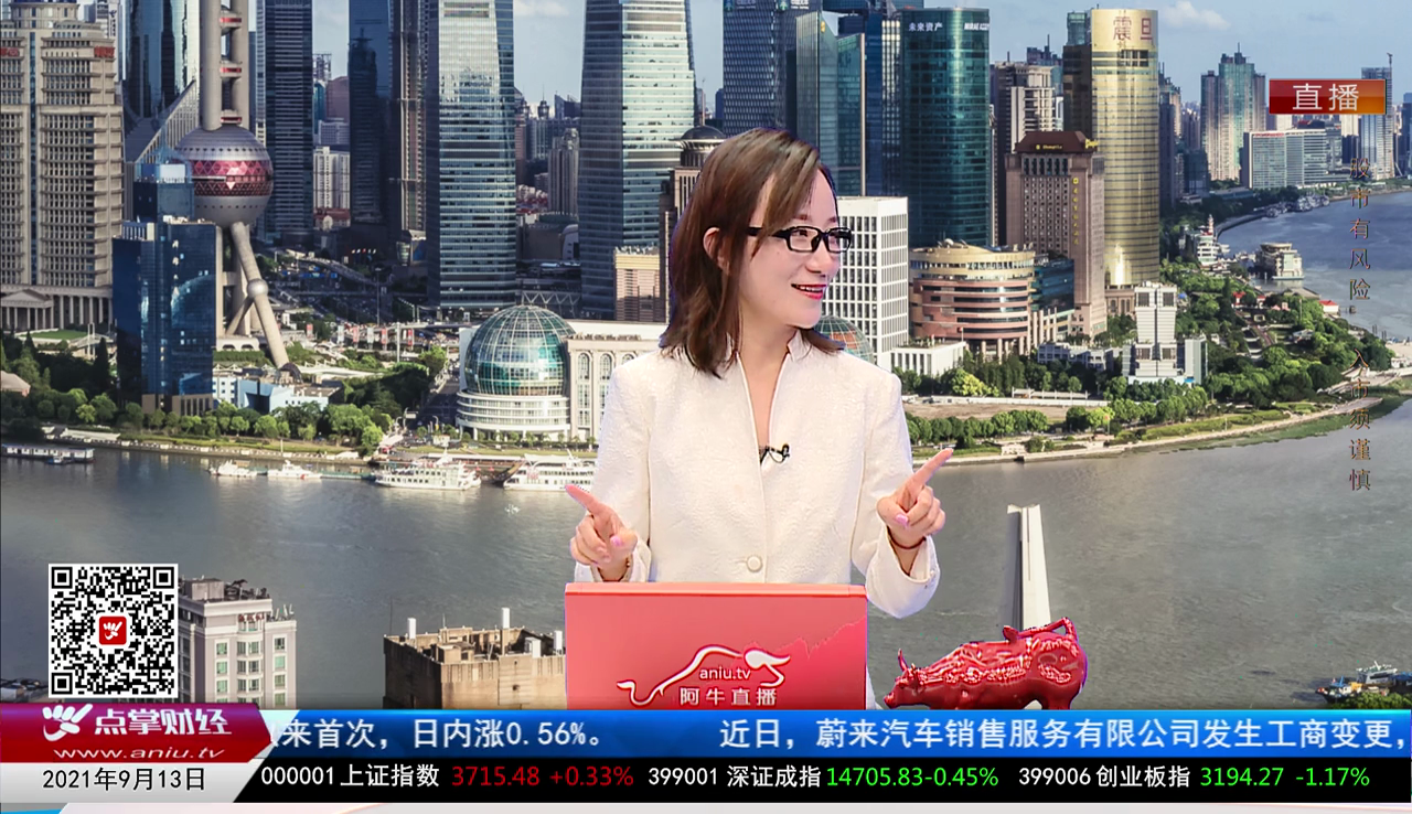 首席投顾2021-09-13