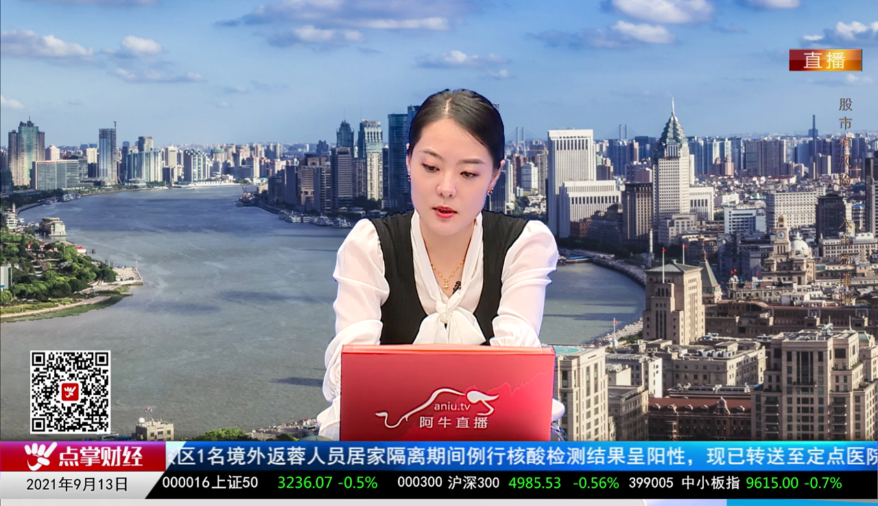 解码公司2021-09-13
