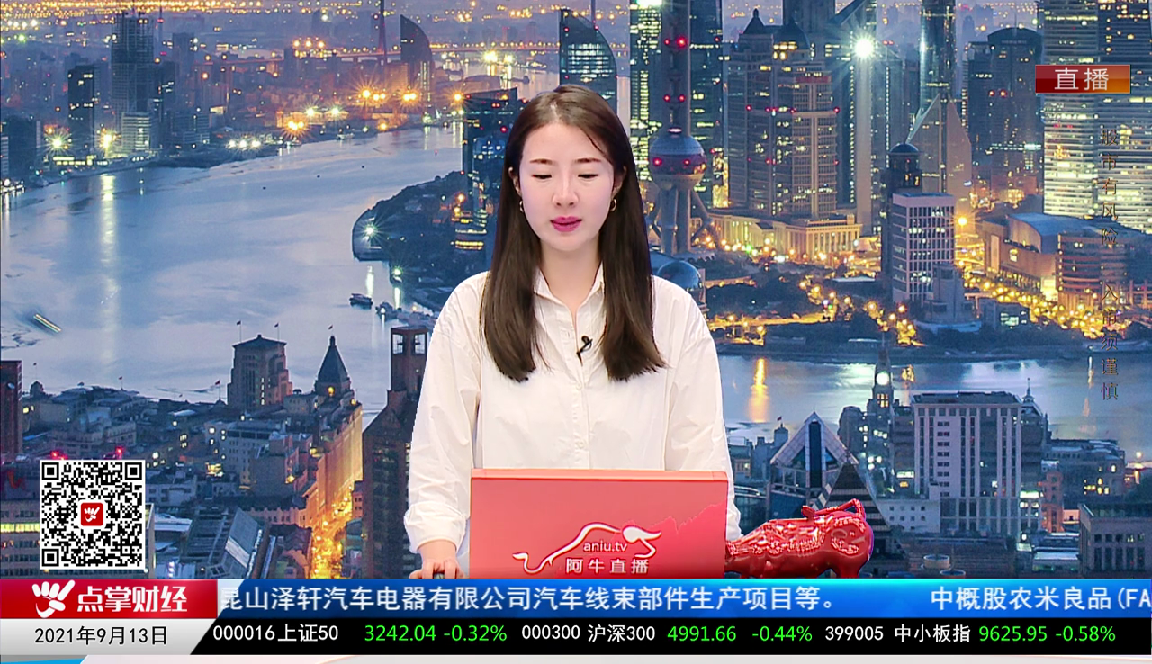机构策略师2021-09-13