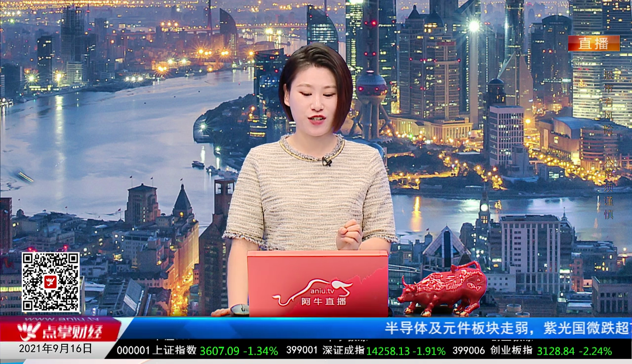 机构策略师2021-09-16