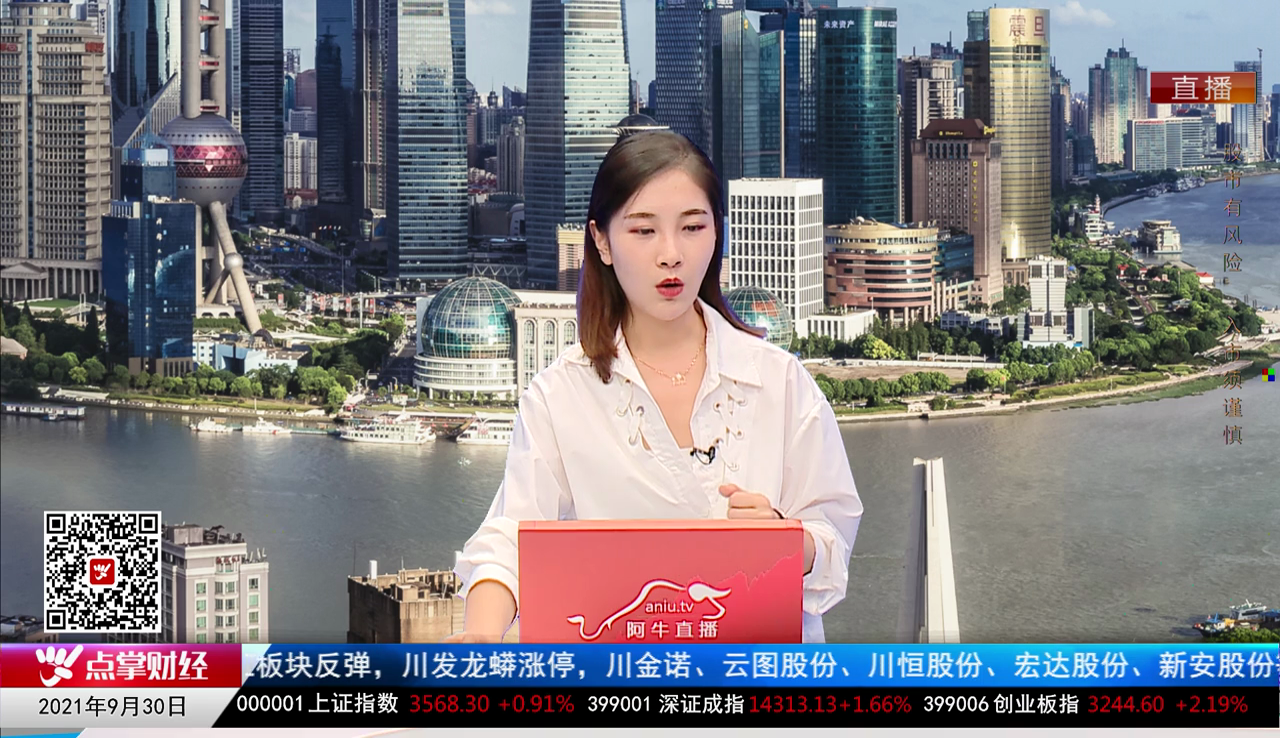 解码公司2021-09-30