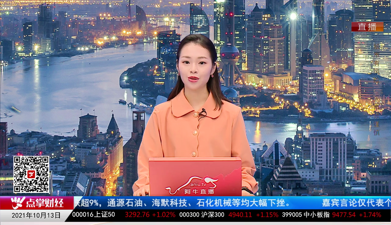 机构策略师2021-10-13