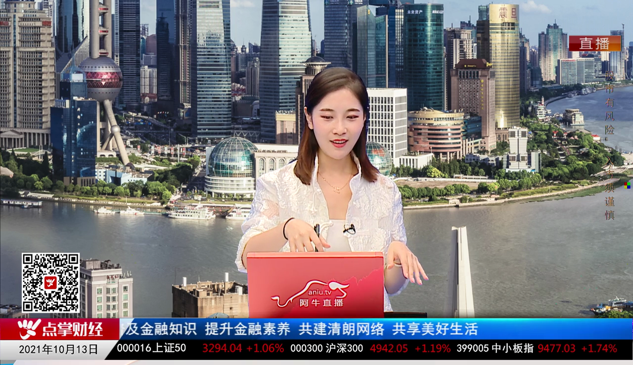 解码公司2021-10-13
