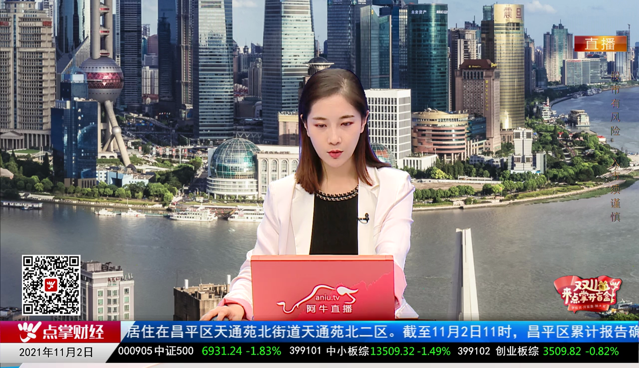 解码公司2021-11-02