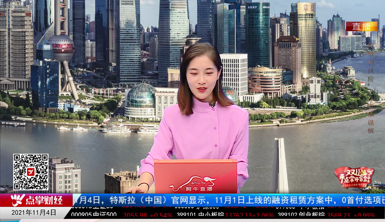 解码公司2021-11-04