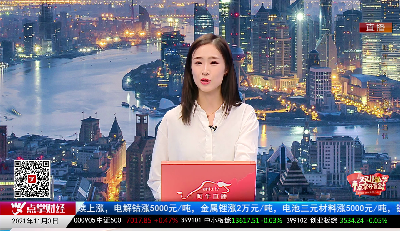 机构策略师2021-11-03