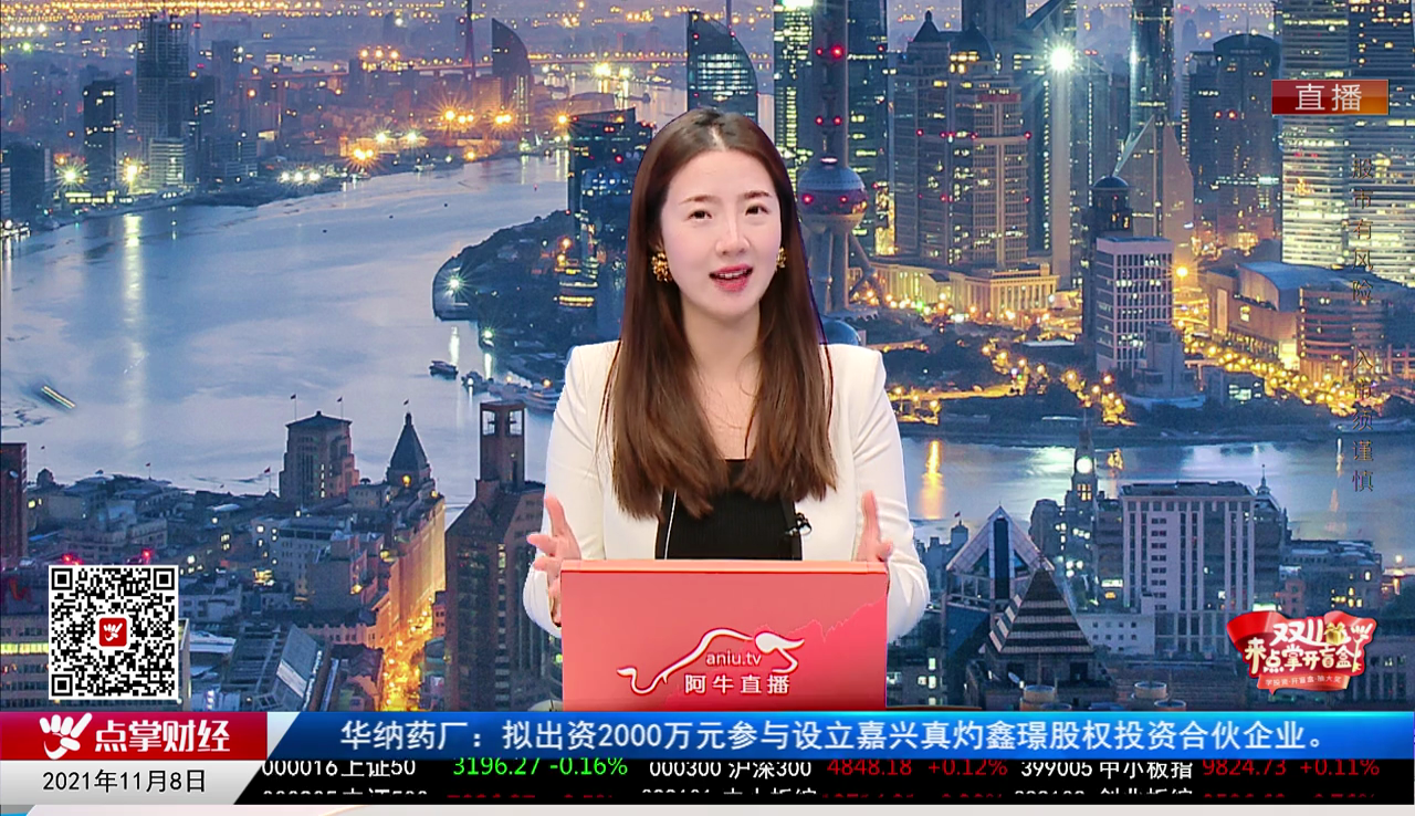 机构策略师2021-11-08