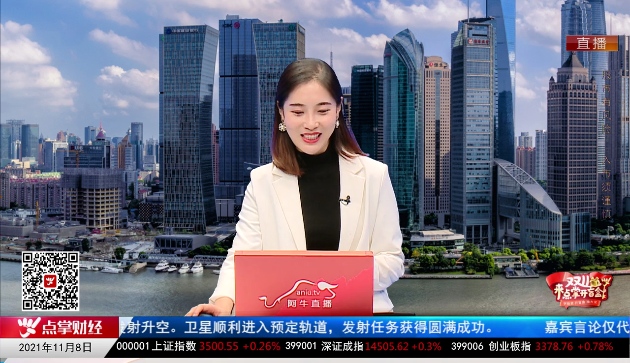 解码公司2021-11-08