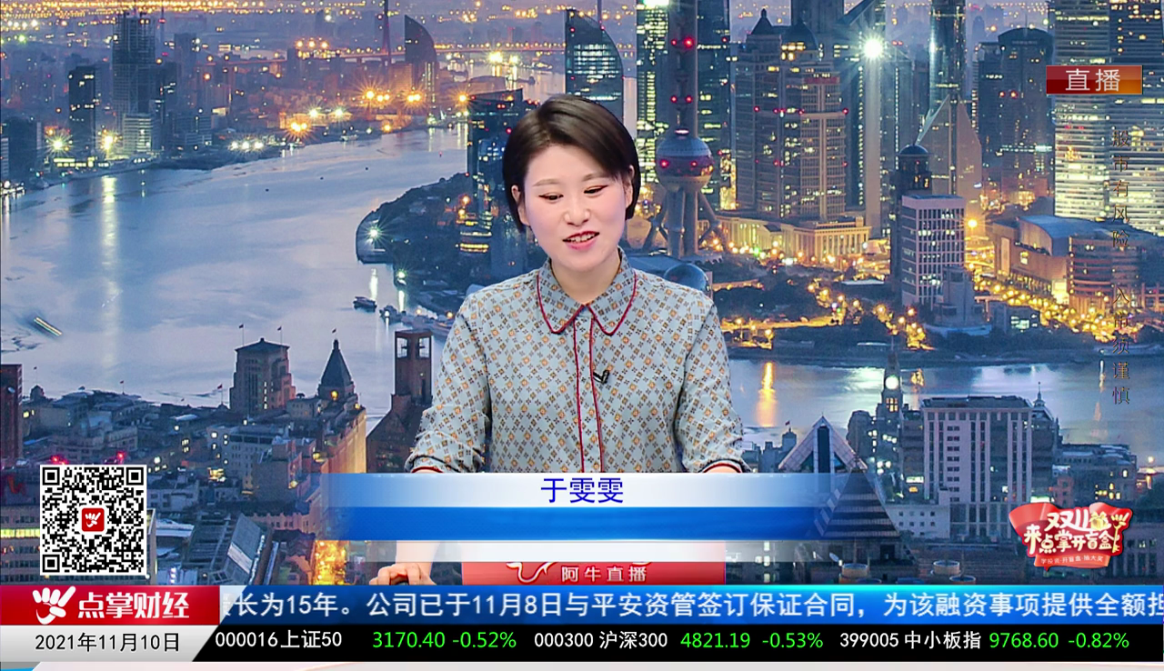 机构策略师2021-11-10