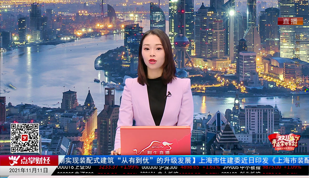 机构策略师2021-11-11
