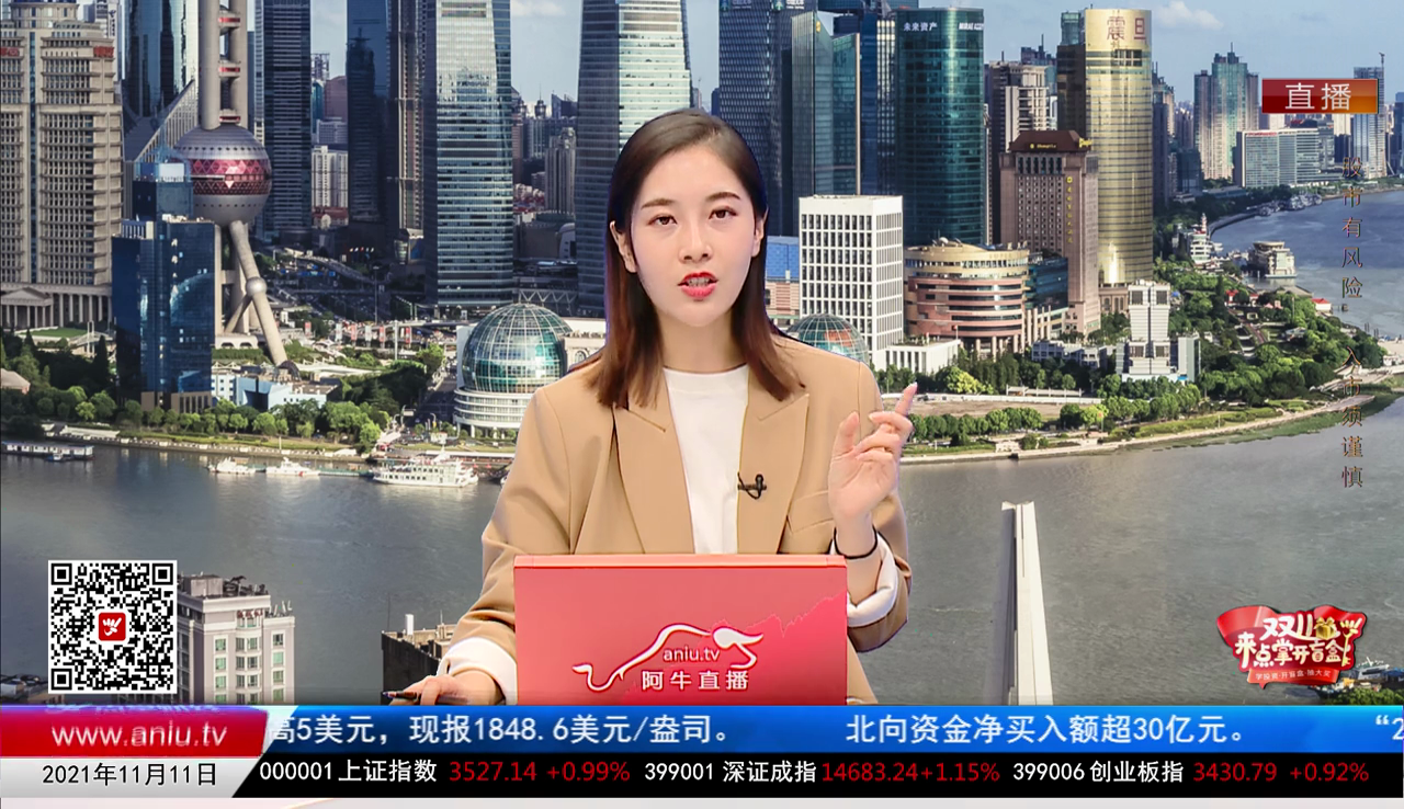 解码公司2021-11-11
