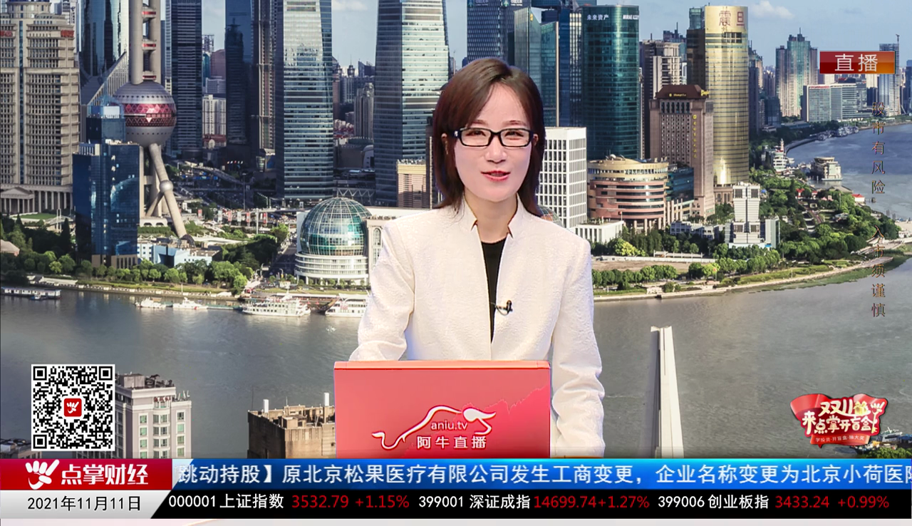 首席投顾2021-11-11