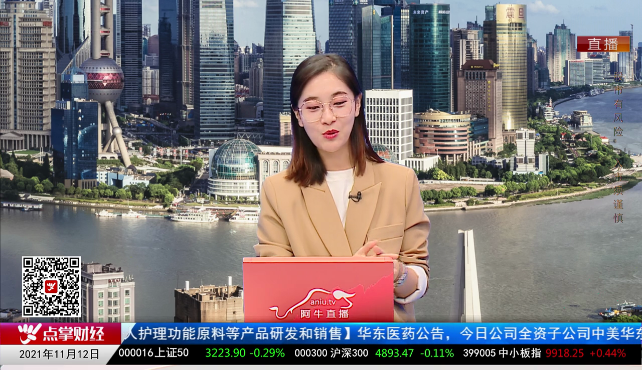 解码公司2021-11-12