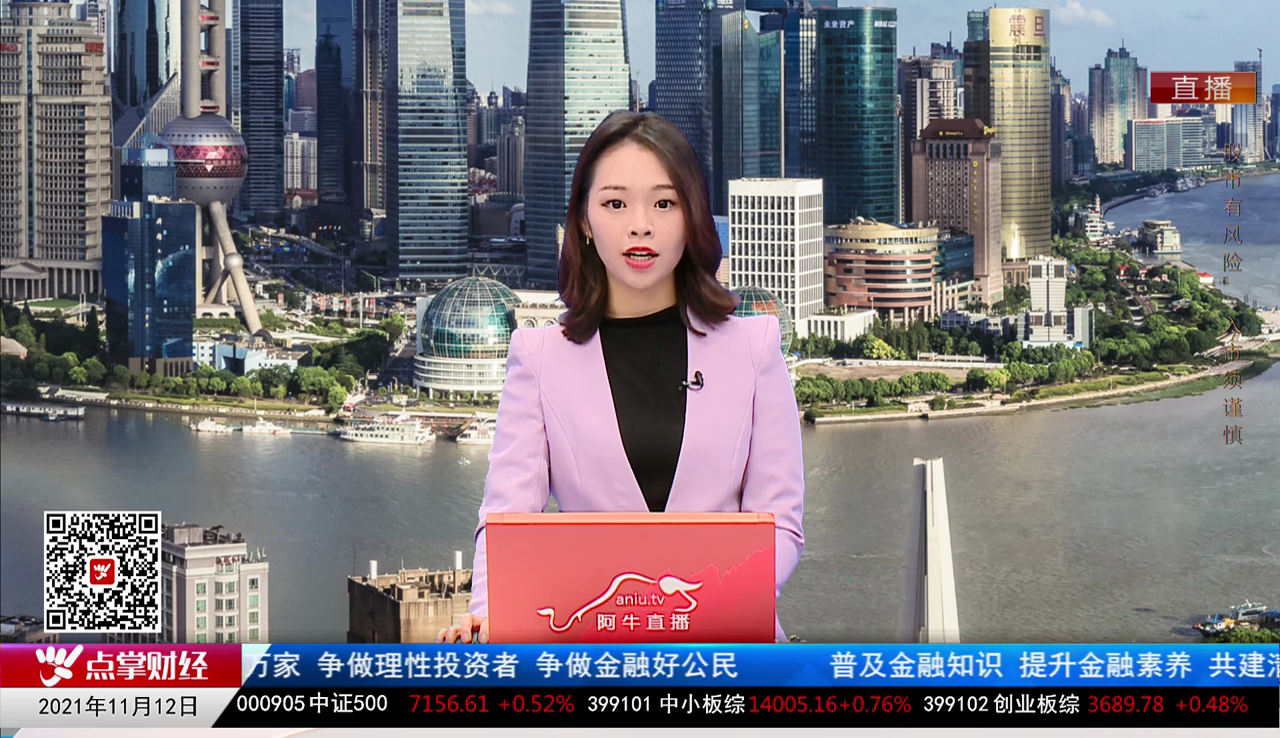 机构策略师2021-11-12