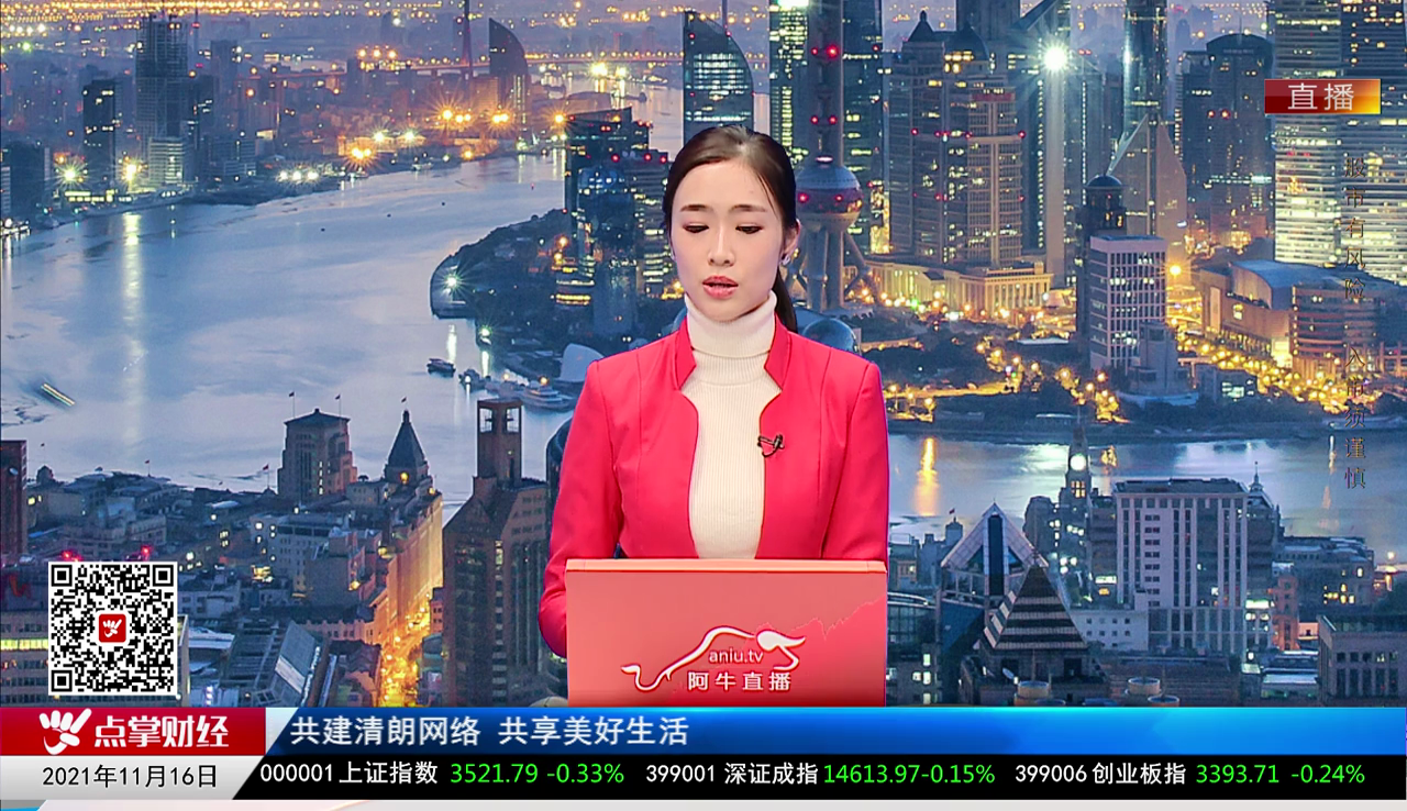 机构策略师2021-11-16