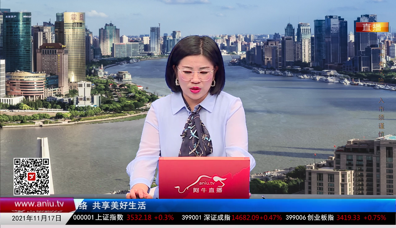 解码公司2021-11-17