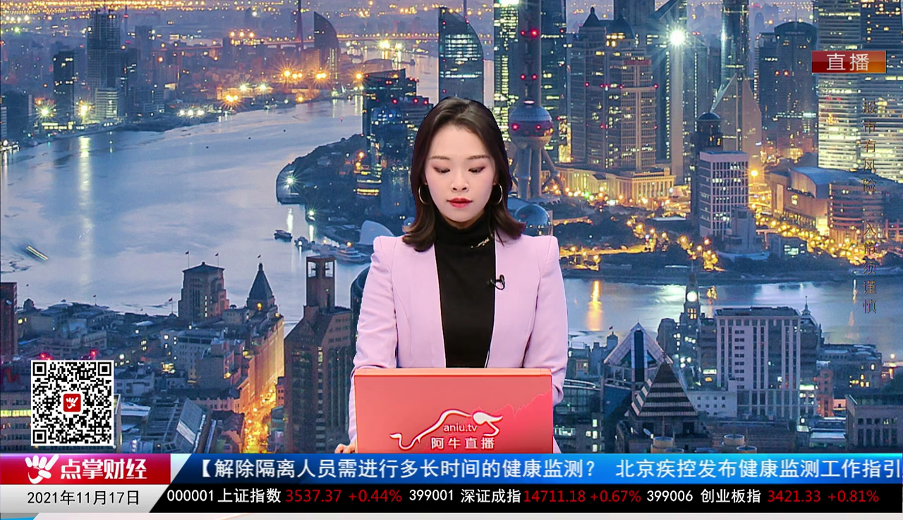 机构策略师2021-11-17