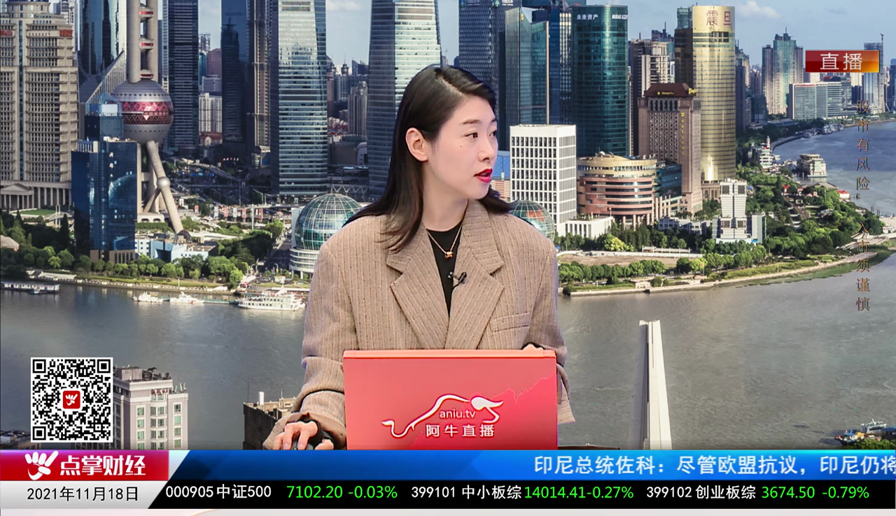 解码公司2021-11-18