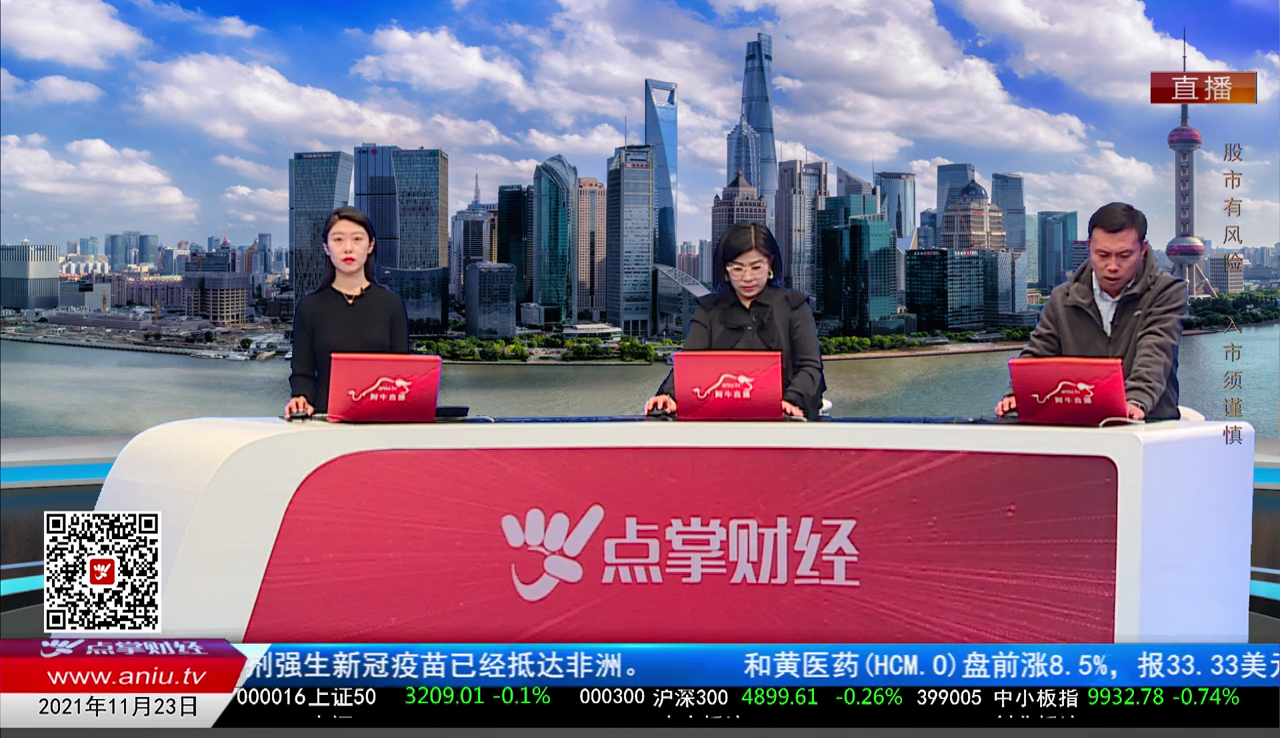 名家视点2021-11-23