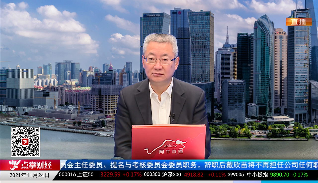 名家视点2021-11-24