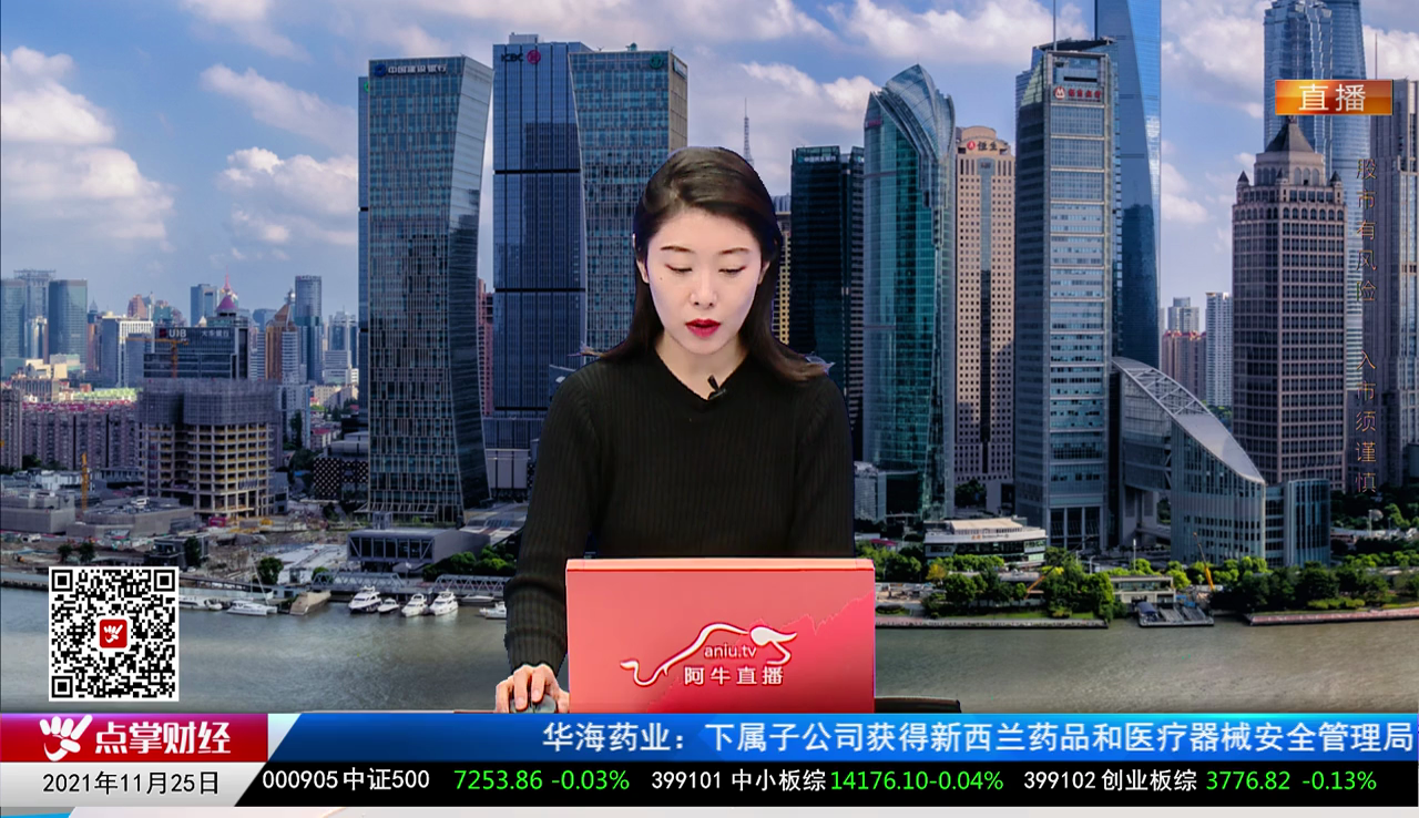 机构看股2021-11-25