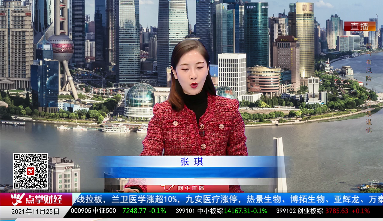 解码公司2021-11-25