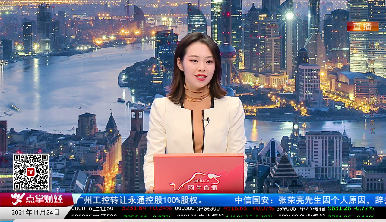机构策略师2021-11-24