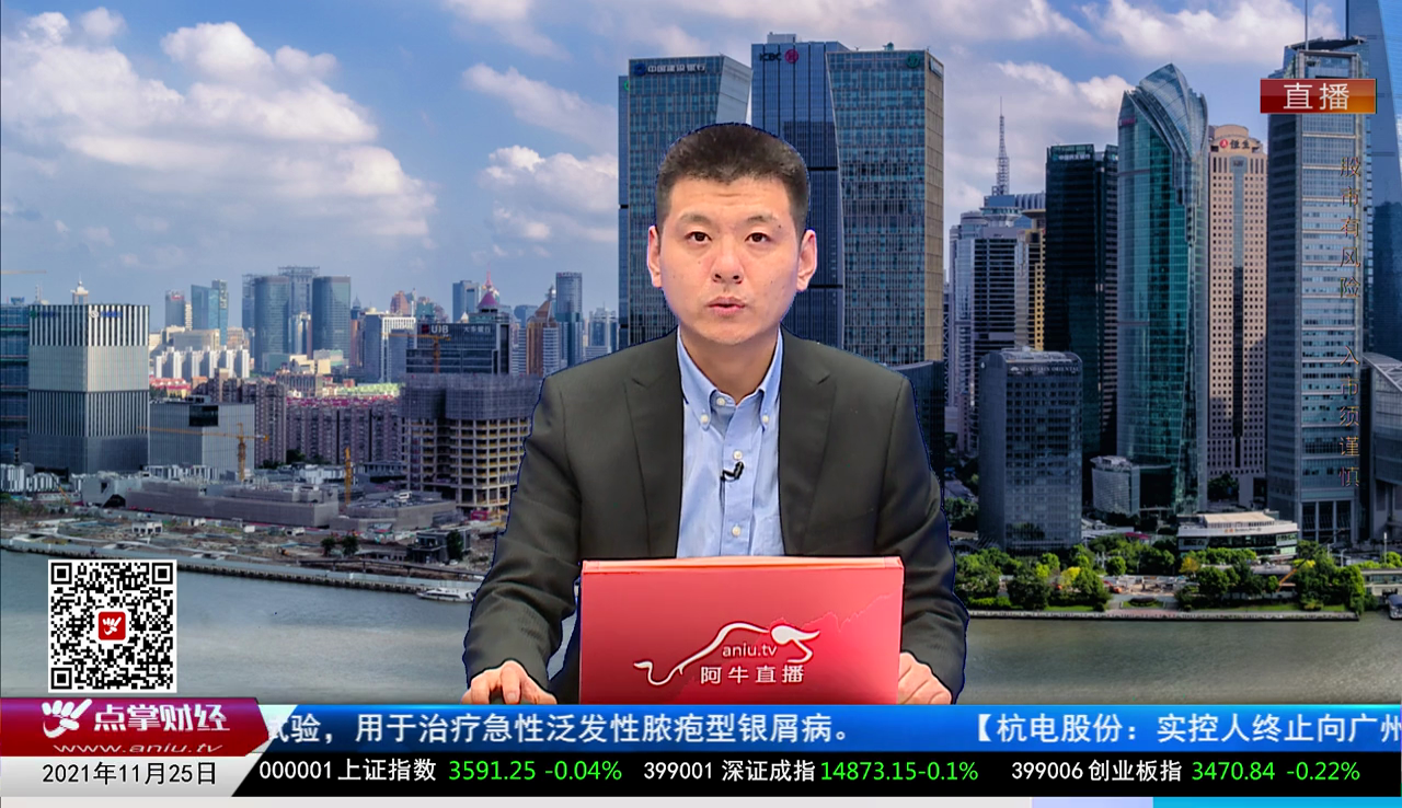 名家视点2021-11-25