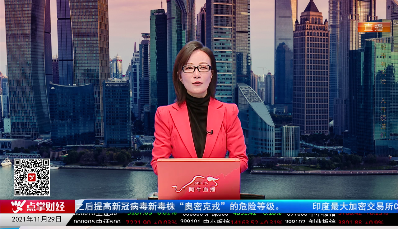 首席投顾2021-11-29