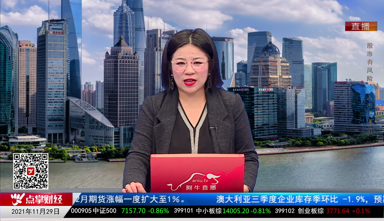 名家视点2021-11-29