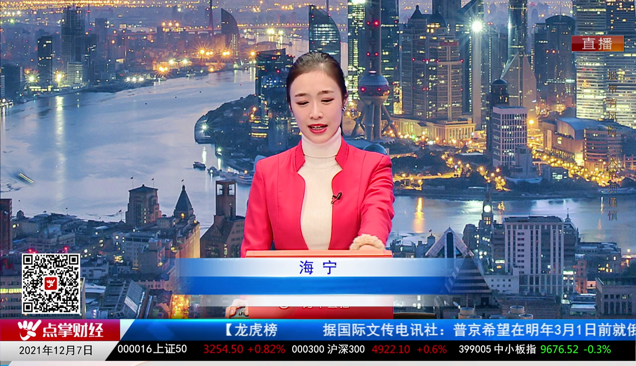 机构策略师2021-12-07
