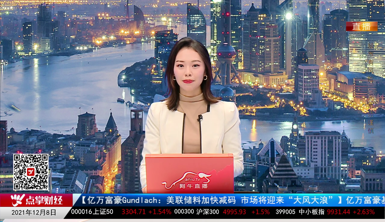 机构策略师2021-12-08