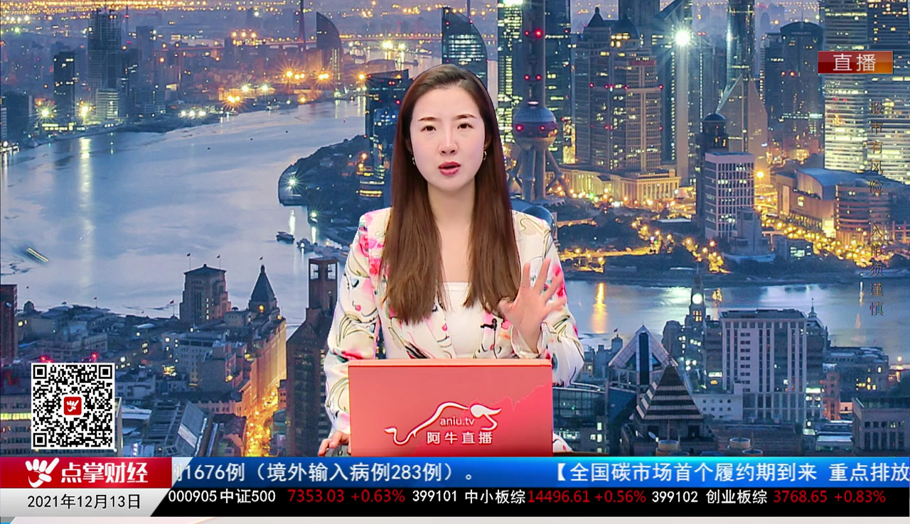 机构策略师2021-12-13
