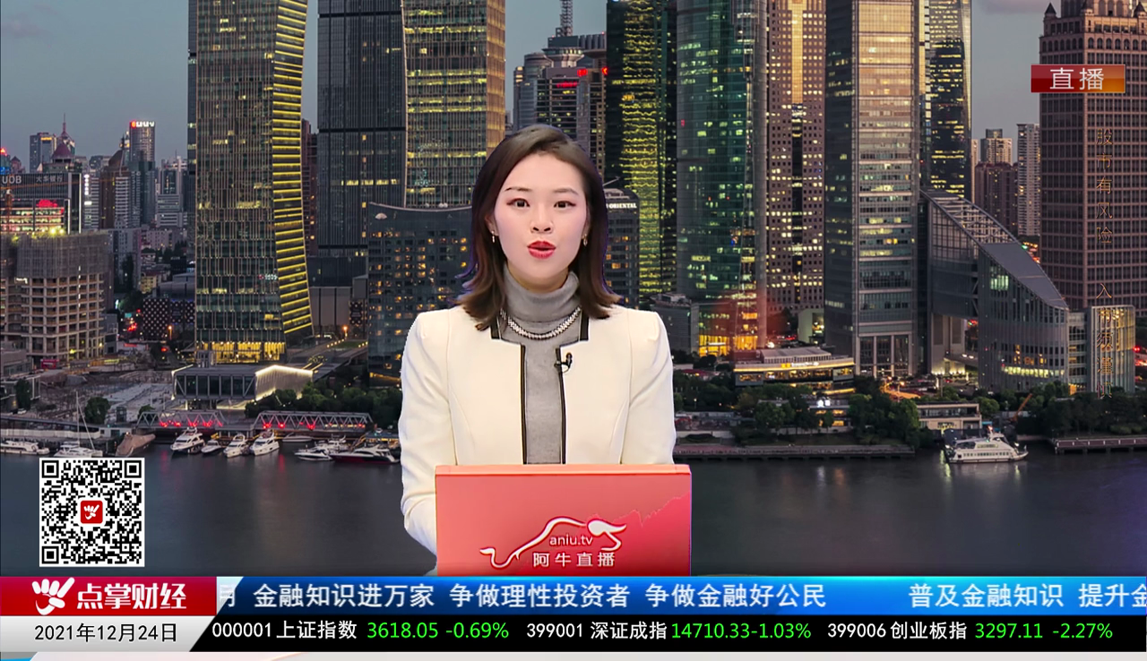机构策略师2021-12-24