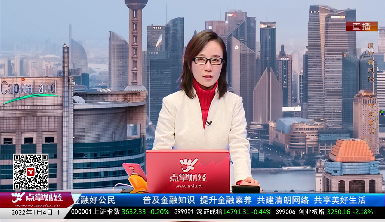 首席投顾2021-01-04