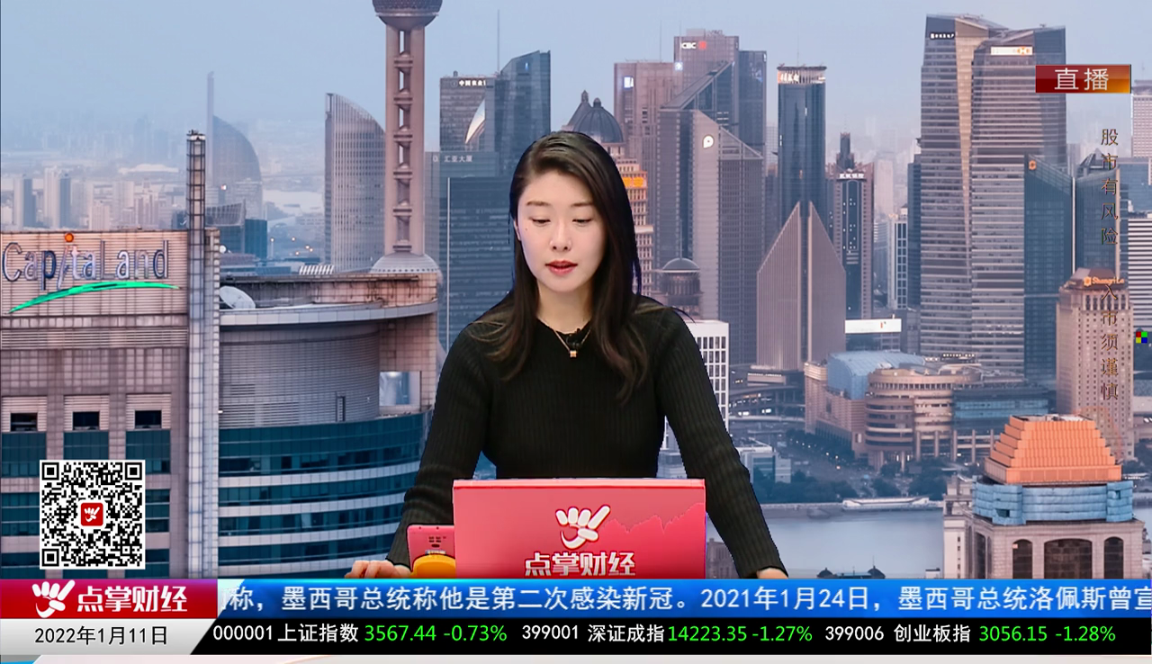 首席投顾2021-01-11
