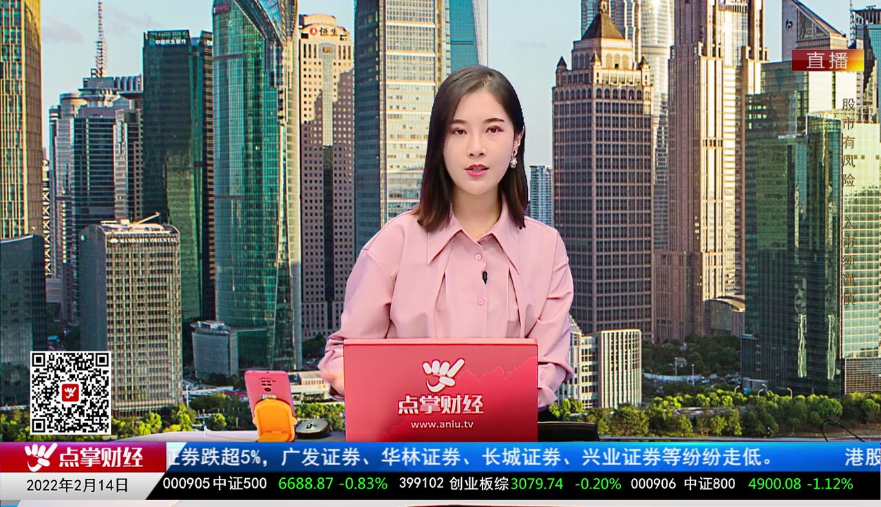 解码公司2022-02-14