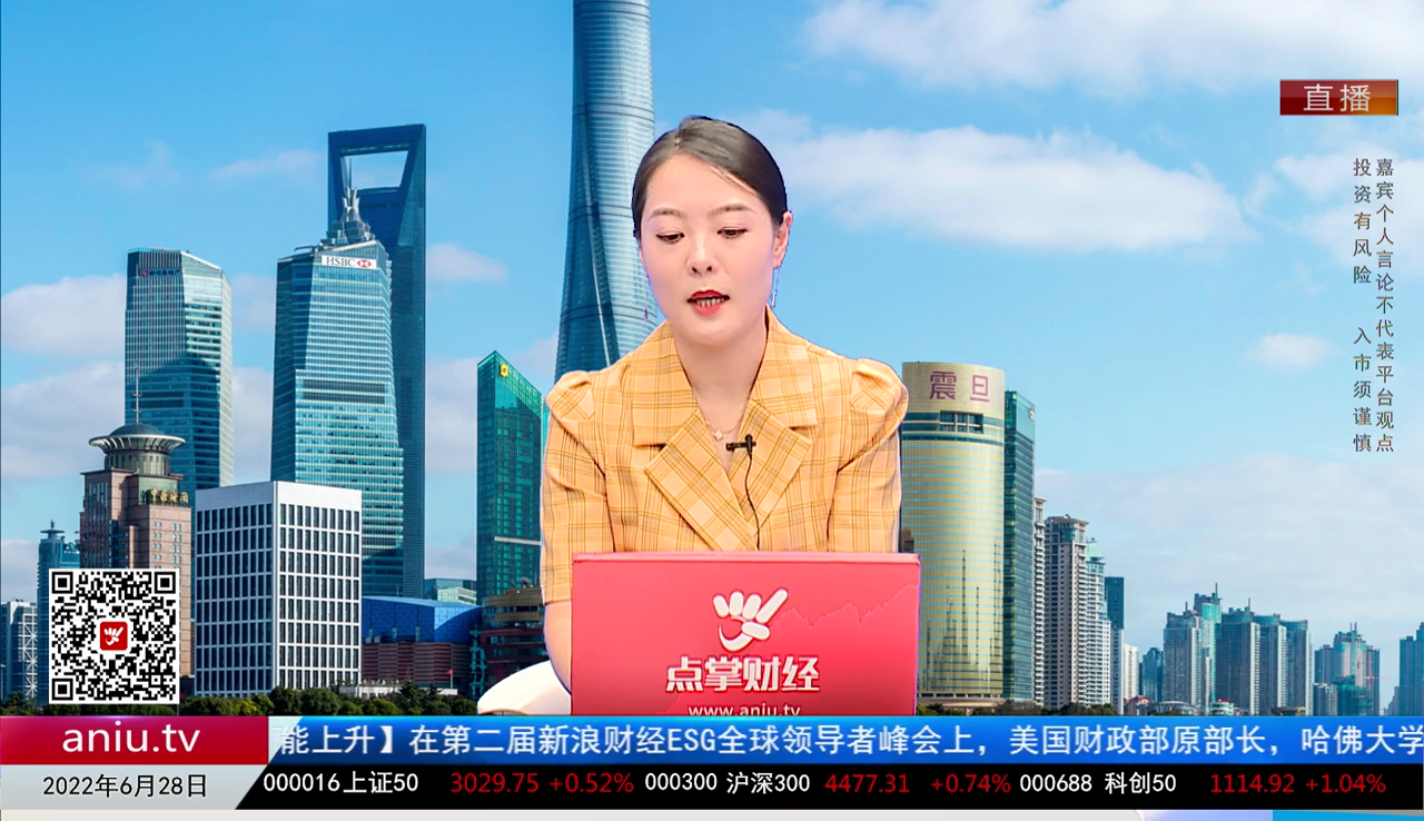 解码公司2022-06-28