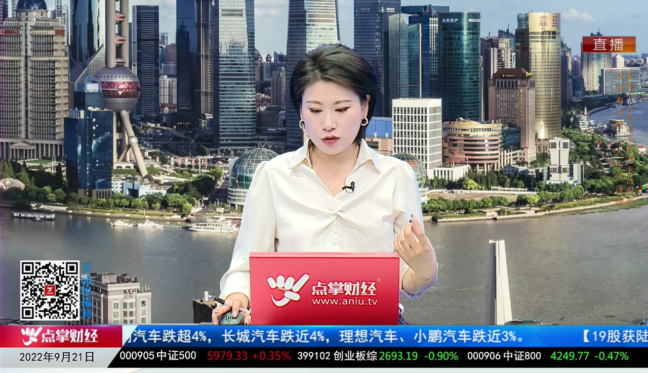 解码公司2022-09-21