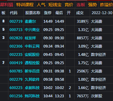 大盘全年下跌15% 创业板跌幅近30%